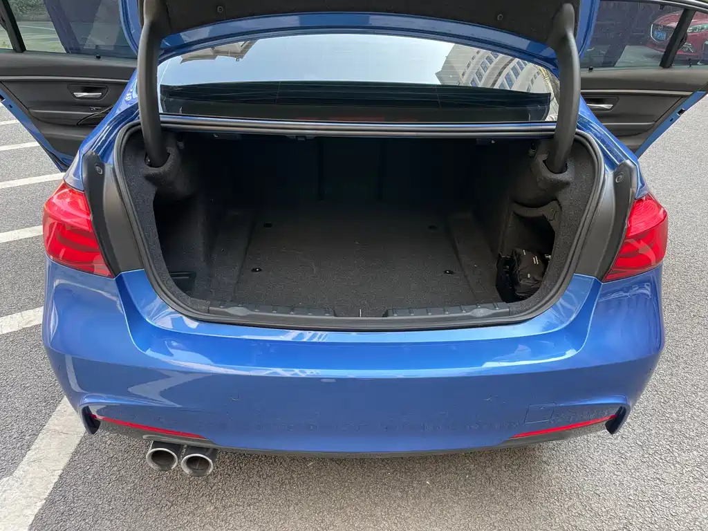 BMW BMW 3 Series 2018 320Li M Sport Package 2018 - thumbnail 21