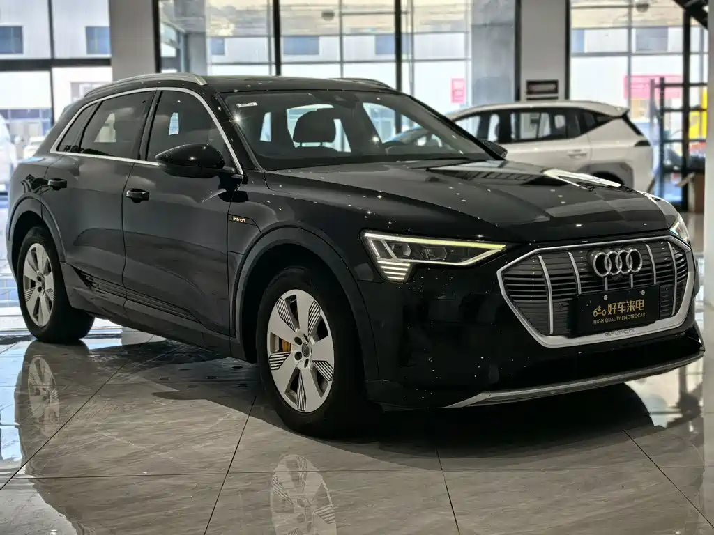 Audi Audi e-tron 55 quattro 2019 Import Fashion Edition 2020 - thumbnail 3