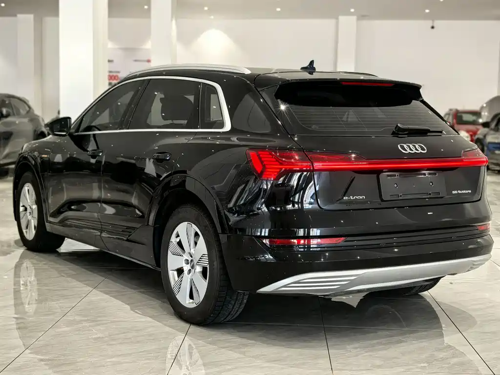 Audi Audi e-tron 55 quattro 2019 Import Fashion Edition 2020 - thumbnail 6