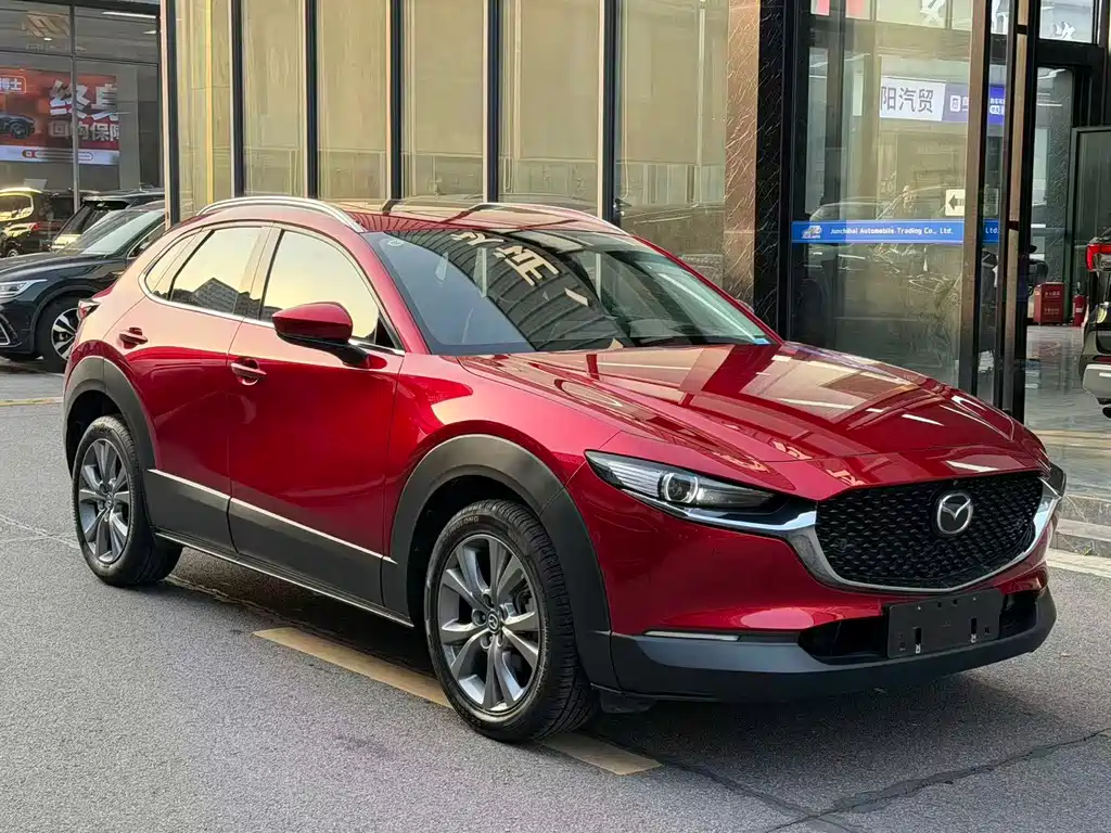 Mazda Mazda CX-30 2022 2.0L Automatic Premium 2022 - thumbnail 4