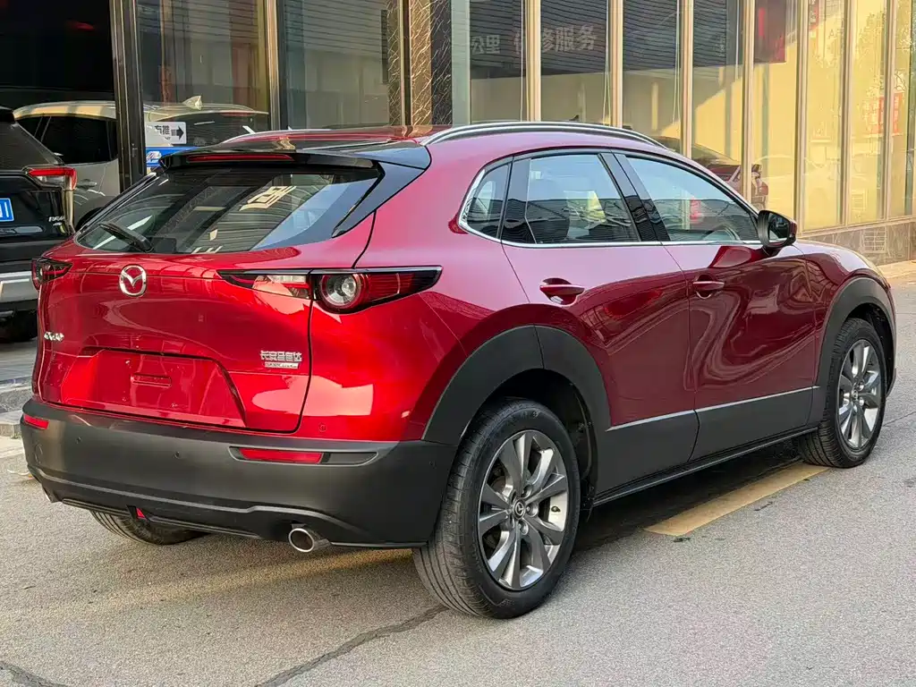 Mazda Mazda CX-30 2022 2.0L Automatic Premium 2022 - thumbnail 10