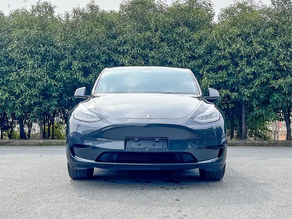 Tesla Model Y 2024 Rear-Wheel Drive 2024 - thumbnail 2
