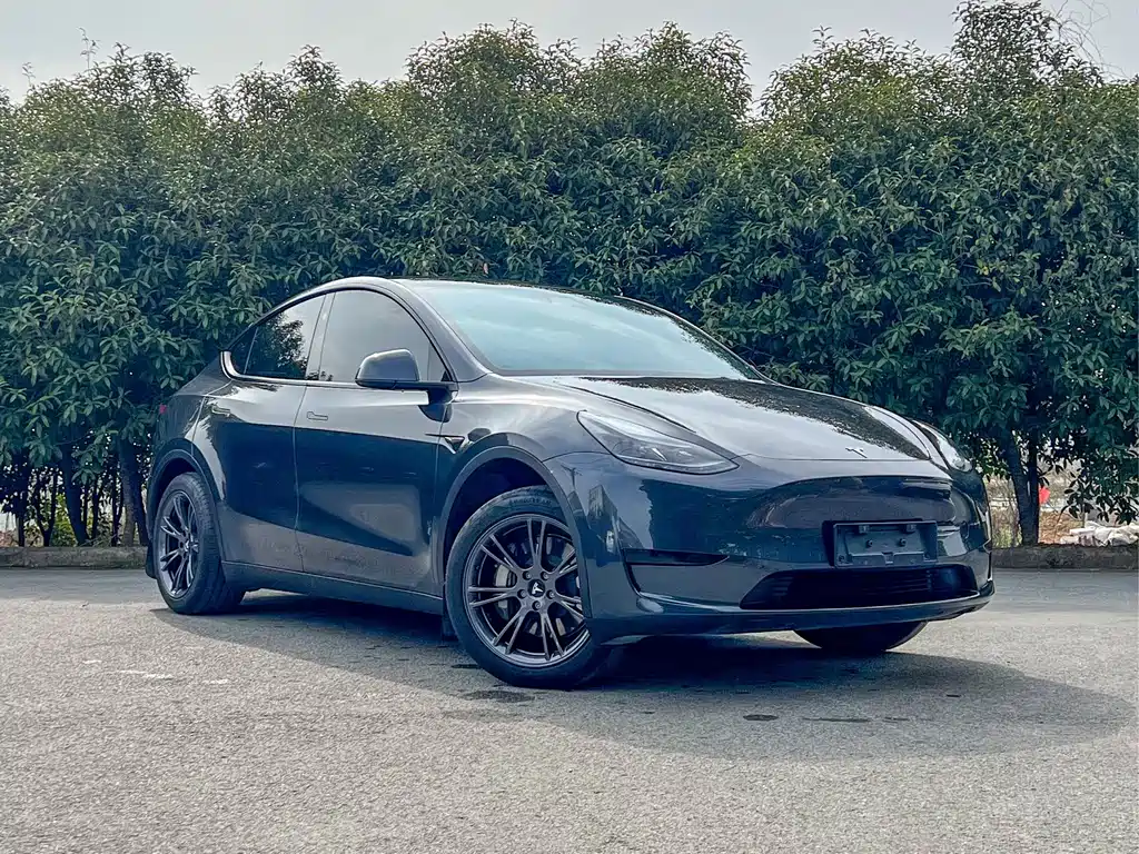Tesla Model Y 2024 Rear-Wheel Drive 2024 - thumbnail 3