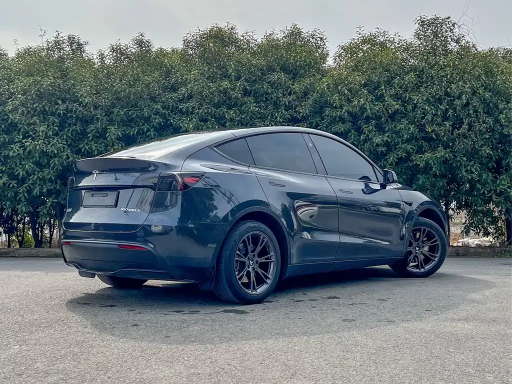Tesla Model Y 2024 Rear-Wheel Drive 2024 - thumbnail 4