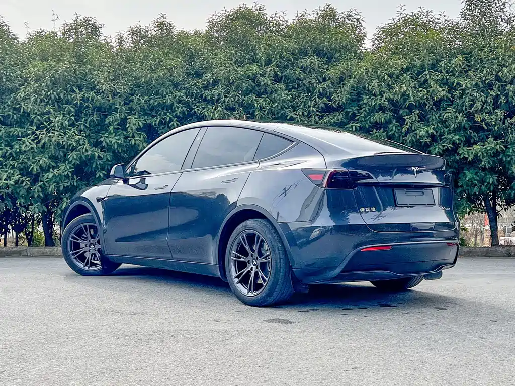 Tesla Model Y 2024 Rear-Wheel Drive 2024 - thumbnail 5