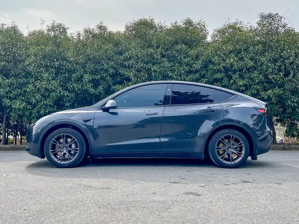 Tesla Model Y 2024 Rear-Wheel Drive 2024 - thumbnail 6