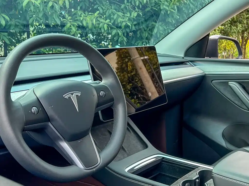 Tesla Model Y 2024 Rear-Wheel Drive 2024 - thumbnail 10