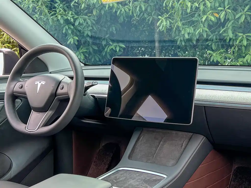 Tesla Model Y 2024 Rear-Wheel Drive 2024 - thumbnail 11