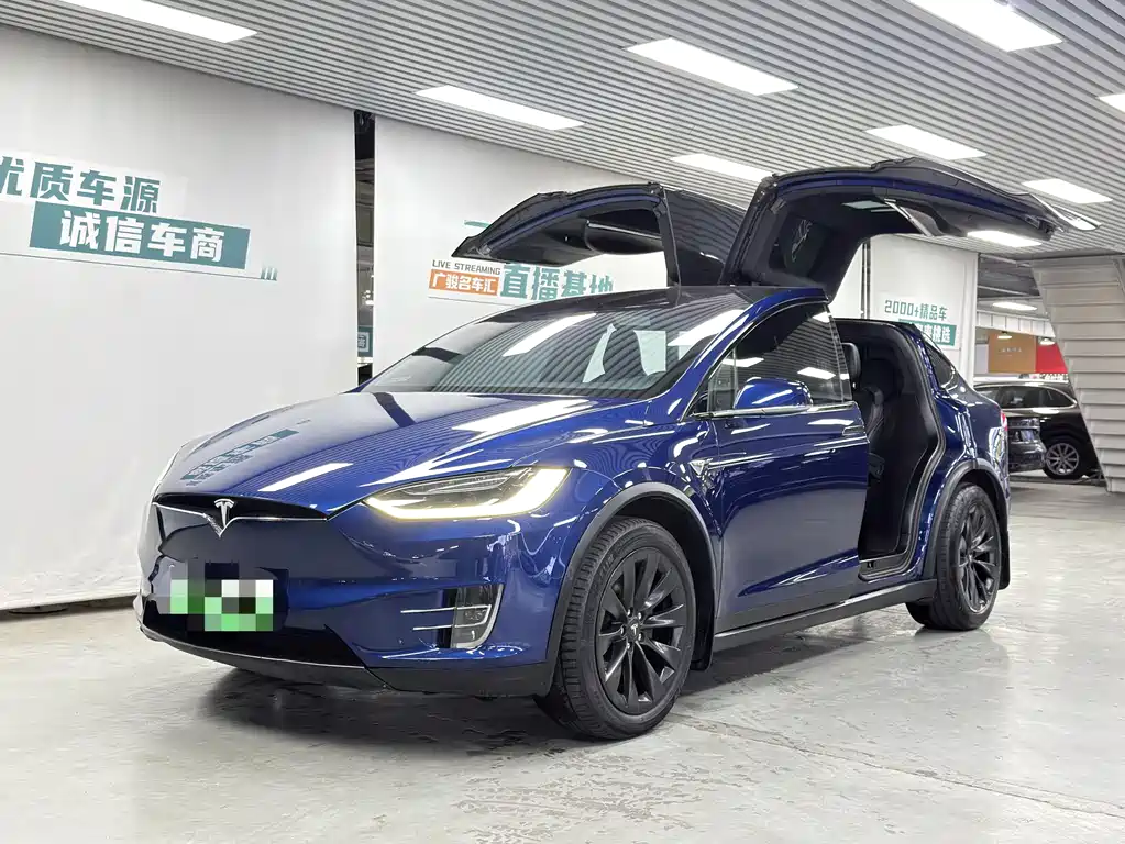 Tesla Model X 75D 2017