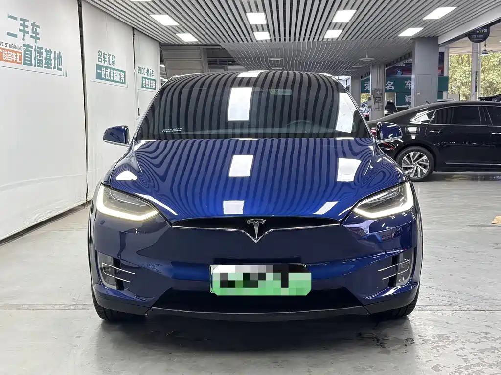 Tesla Model X 75D 2017 - thumbnail 2