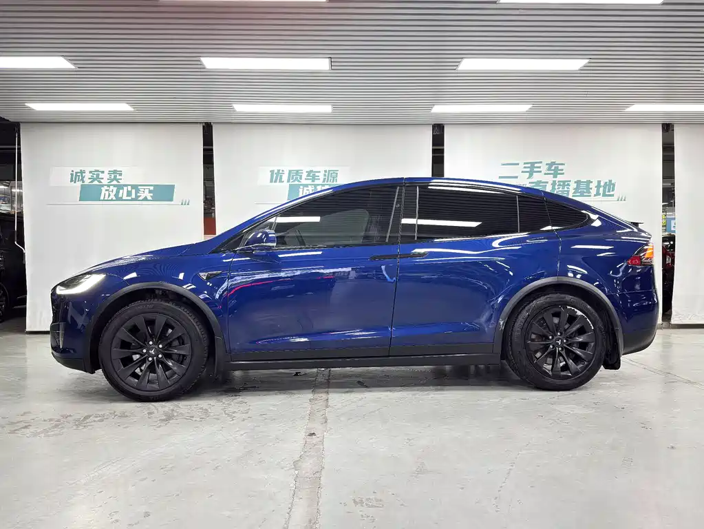 Tesla Model X 75D 2017 - thumbnail 4