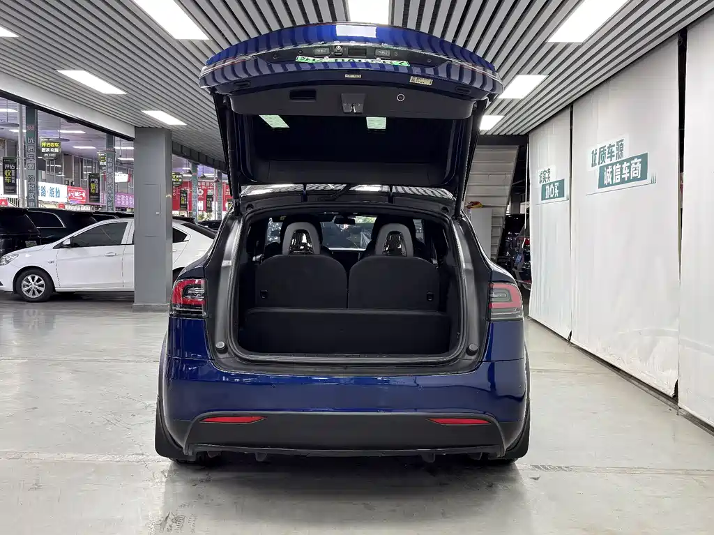 Tesla Model X 75D 2017 - thumbnail 14