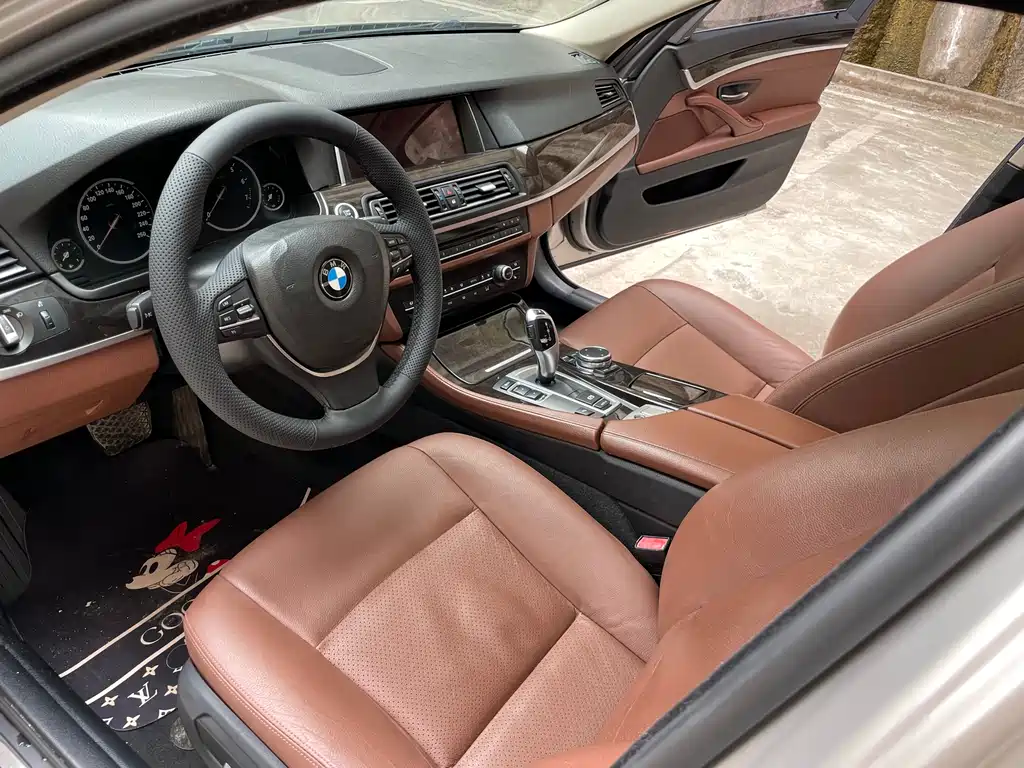 BMW BMW 5 Series 2014 528Li Leading Edition 2015 - thumbnail 11