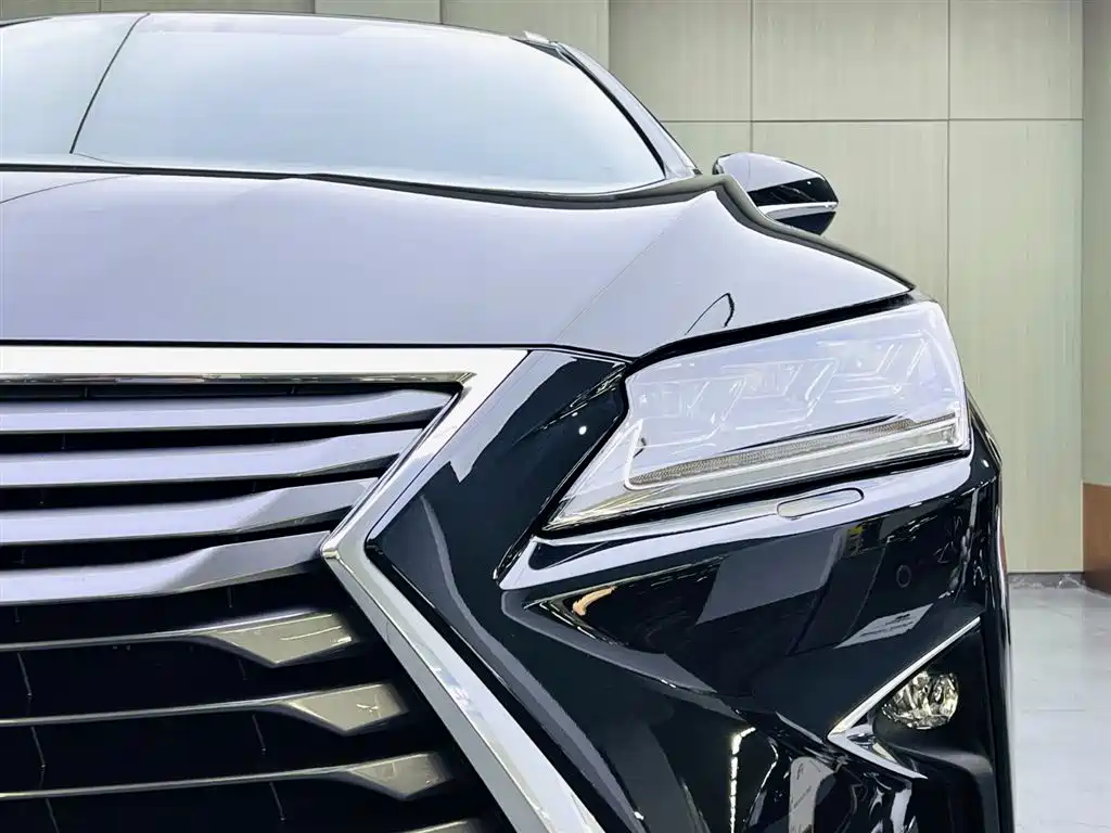 Lexus Lexus RX 300 AWD Elegant Edition 2016 Model China V 2019 - thumbnail 7