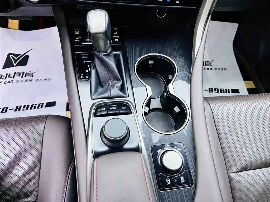 Lexus Lexus RX 300 AWD Elegant Edition 2016 Model China V 2019 - thumbnail 15