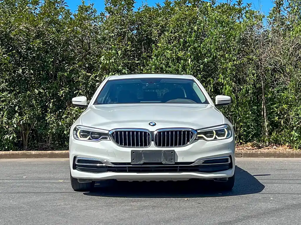 BMW BMW 5 Series 2020 530Li Leading Model Luxury Package 2020 - thumbnail 2