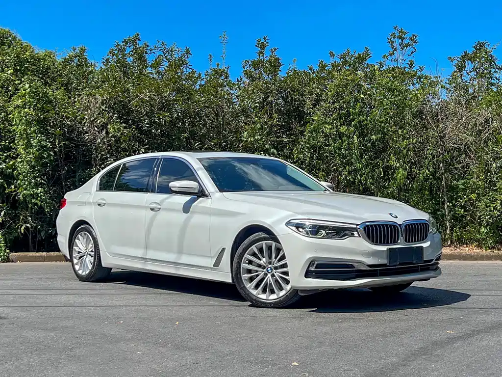 BMW BMW 5 Series 2020 530Li Leading Model Luxury Package 2020 - thumbnail 3