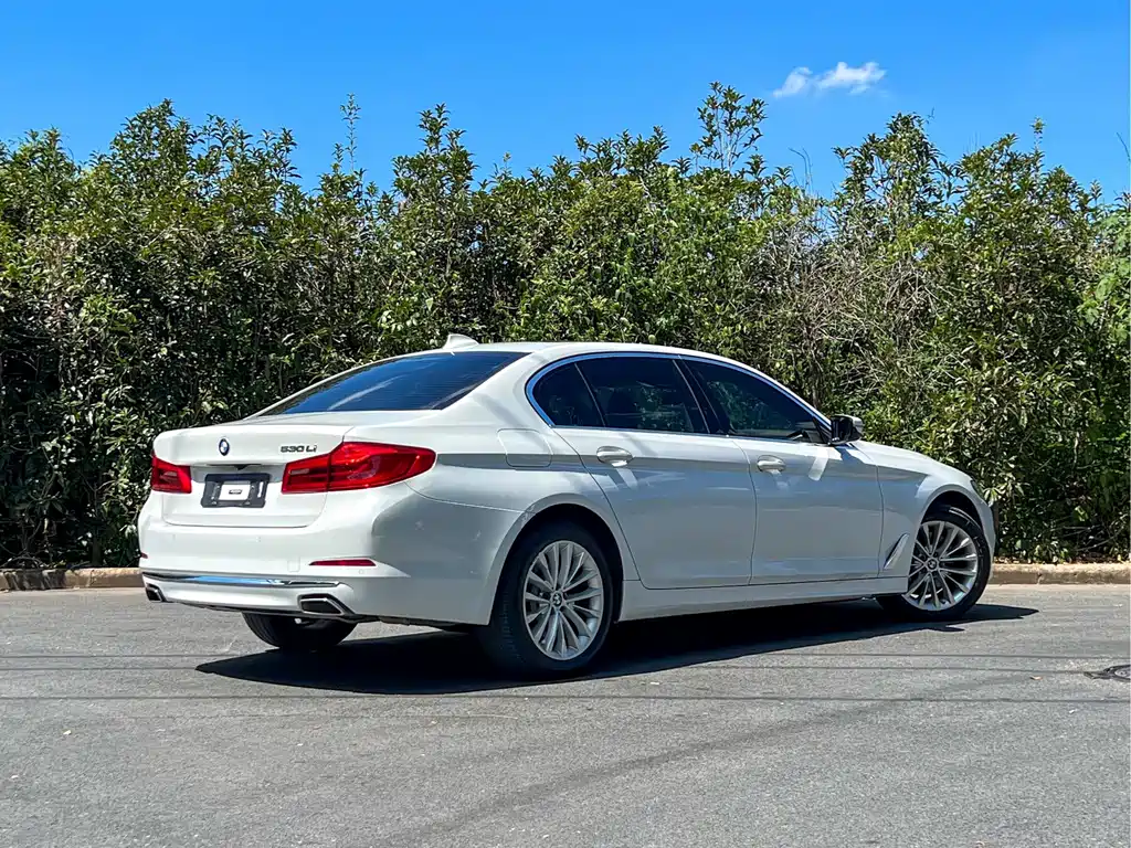 BMW BMW 5 Series 2020 530Li Leading Model Luxury Package 2020 - thumbnail 4