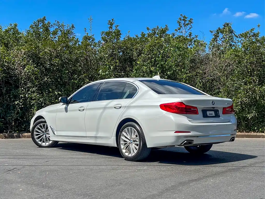 BMW BMW 5 Series 2020 530Li Leading Model Luxury Package 2020 - thumbnail 5