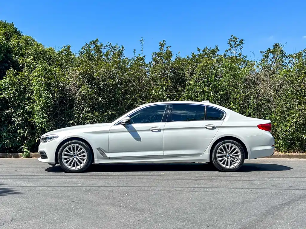 BMW BMW 5 Series 2020 530Li Leading Model Luxury Package 2020 - thumbnail 6