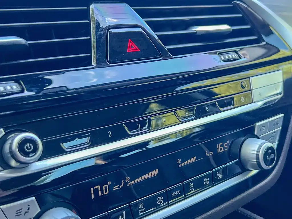 BMW BMW 5 Series 2020 530Li Leading Model Luxury Package 2020 - thumbnail 8