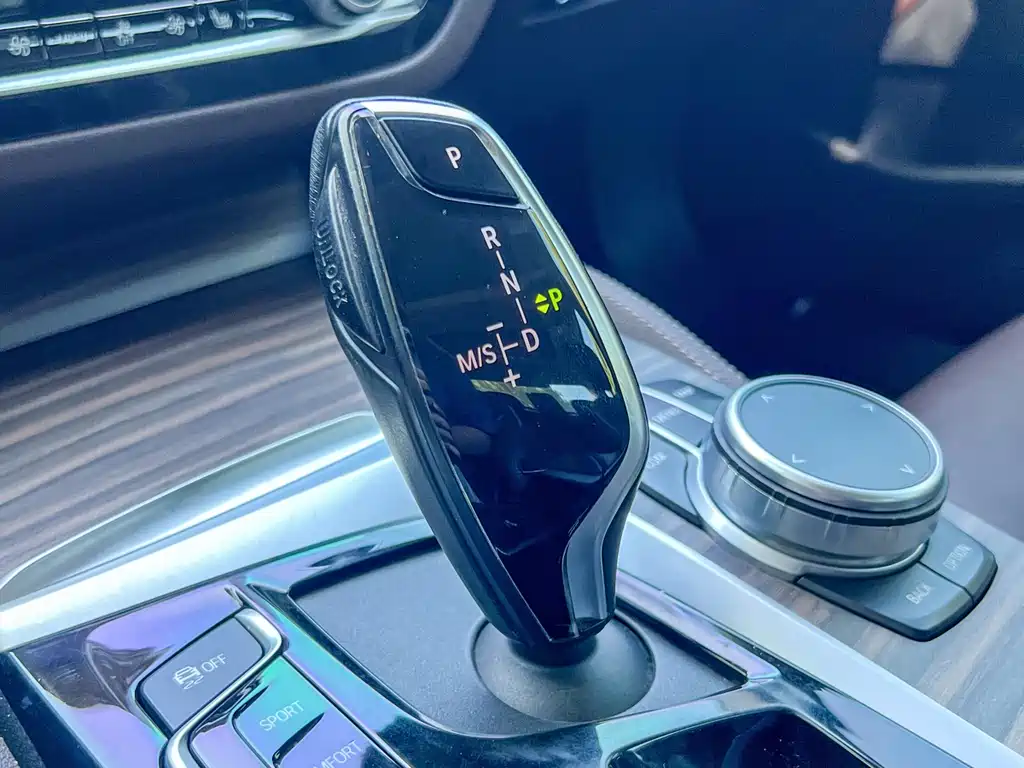 BMW BMW 5 Series 2020 530Li Leading Model Luxury Package 2020 - thumbnail 9