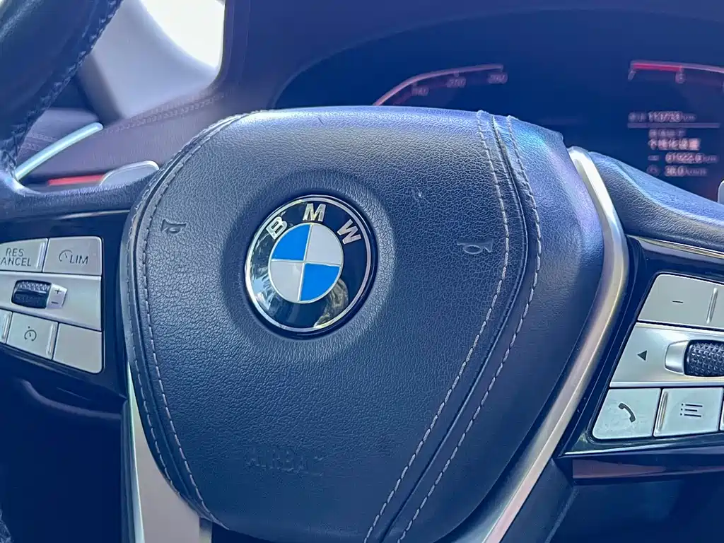 BMW BMW 5 Series 2020 530Li Leading Model Luxury Package 2020 - thumbnail 10