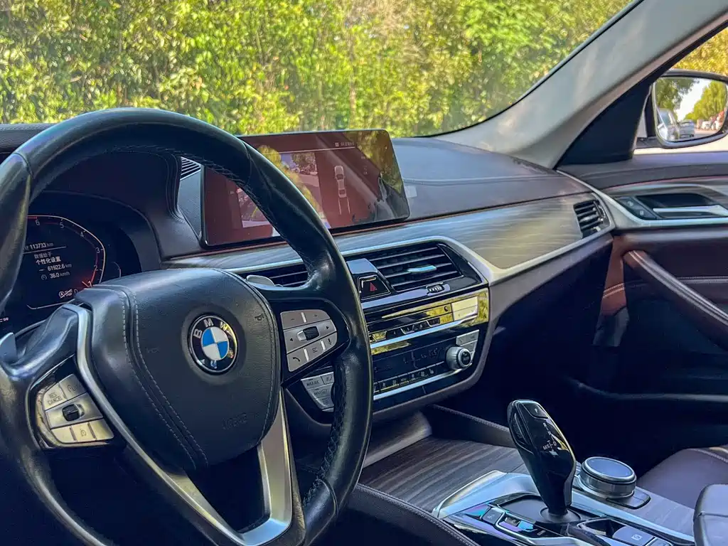 BMW BMW 5 Series 2020 530Li Leading Model Luxury Package 2020 - thumbnail 12