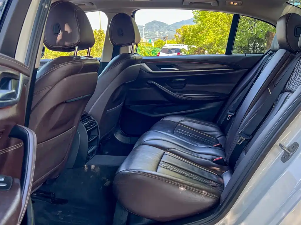 BMW BMW 5 Series 2020 530Li Leading Model Luxury Package 2020 - thumbnail 16