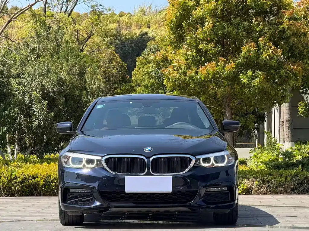BMW BMW 5 Series 2019 530Li Leading Model M Sport Package 2019 - thumbnail 2