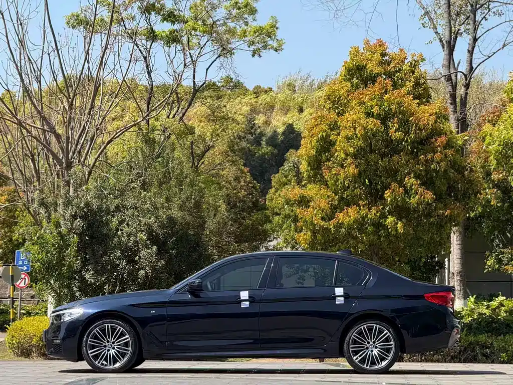 BMW BMW 5 Series 2019 530Li Leading Model M Sport Package 2019 - thumbnail 3