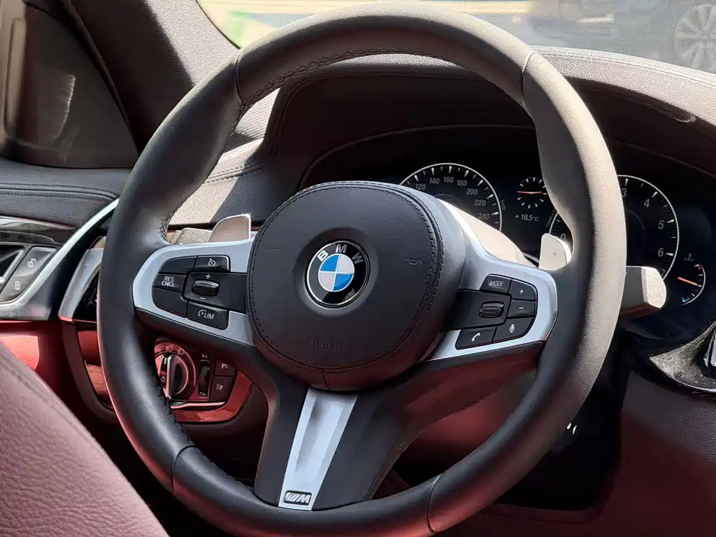 BMW BMW 5 Series 2019 530Li Leading Model M Sport Package 2019 - thumbnail 4
