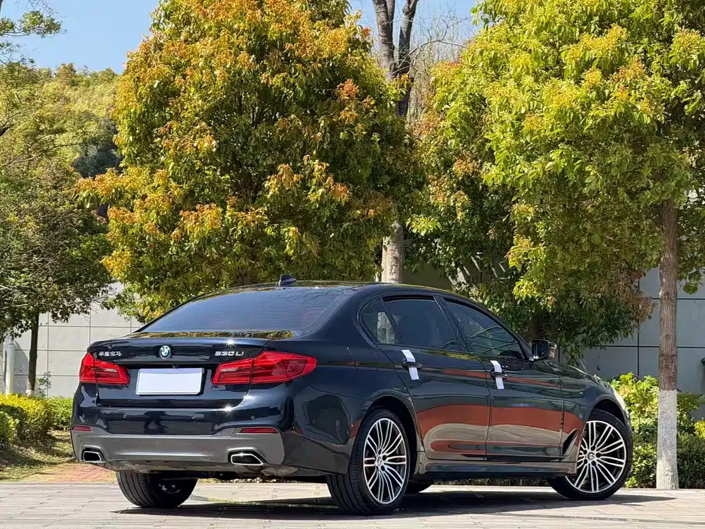 BMW BMW 5 Series 2019 530Li Leading Model M Sport Package 2019 - thumbnail 8