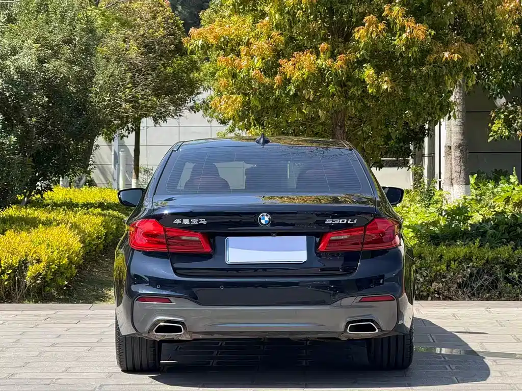 BMW BMW 5 Series 2019 530Li Leading Model M Sport Package 2019 - thumbnail 9