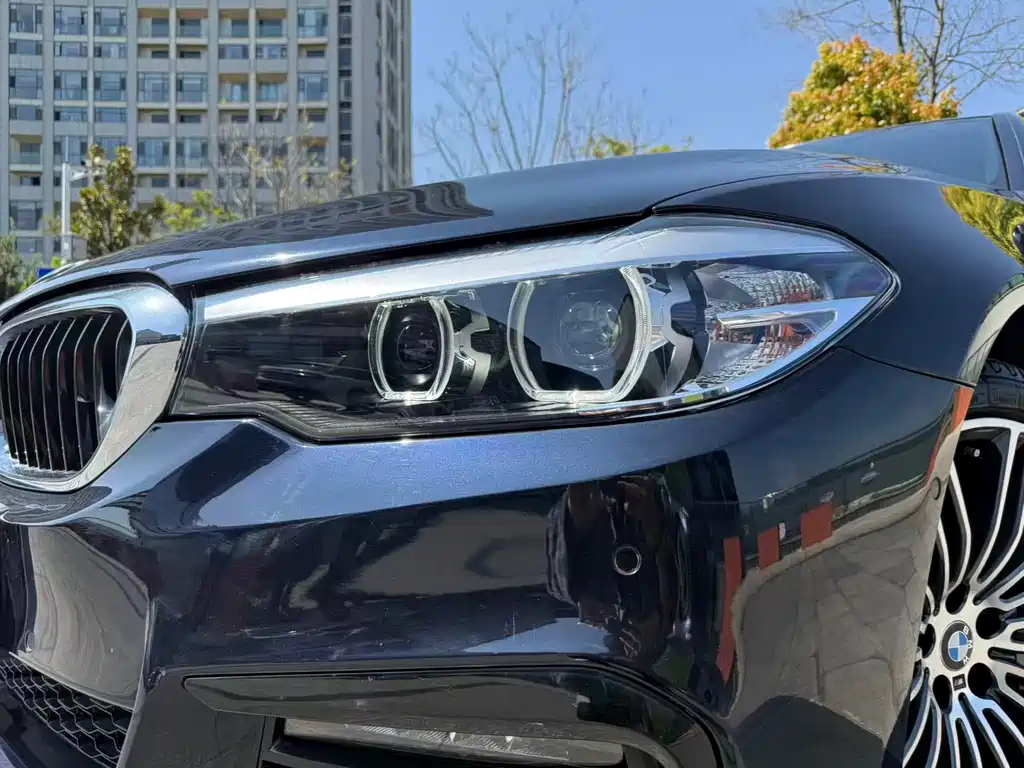 BMW BMW 5 Series 2019 530Li Leading Model M Sport Package 2019 - thumbnail 11