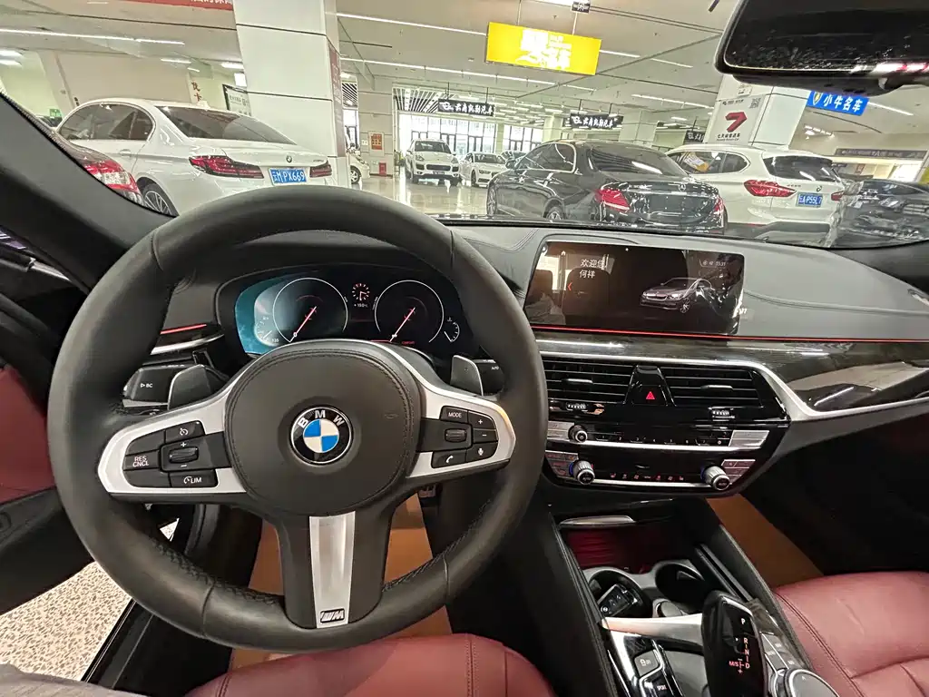 BMW BMW 5 Series 2019 530Li Leading Model M Sport Package 2019 - thumbnail 13
