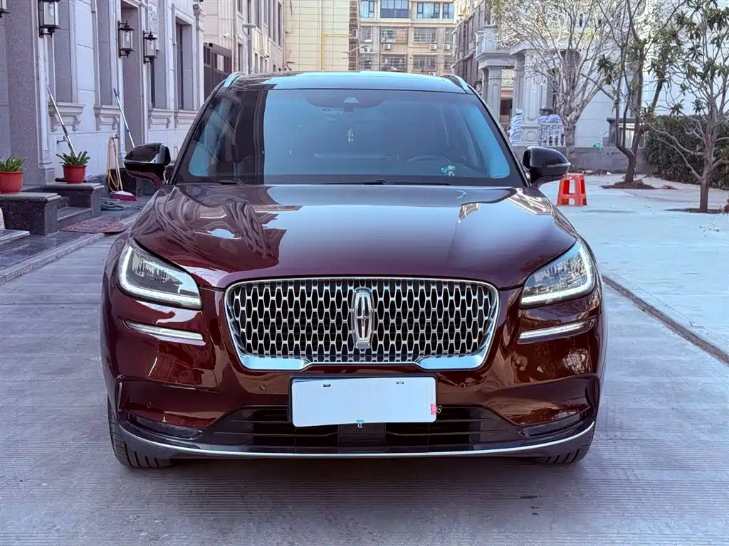 Lincoln Lynx 2021 2.0T Two-Wheel Drive Premium Elegant Edition 2021 - thumbnail 2