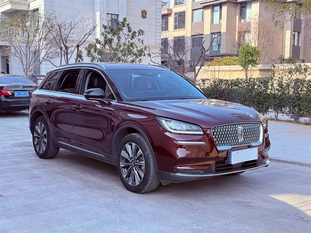 Lincoln Lynx 2021 2.0T Two-Wheel Drive Premium Elegant Edition 2021 - thumbnail 3