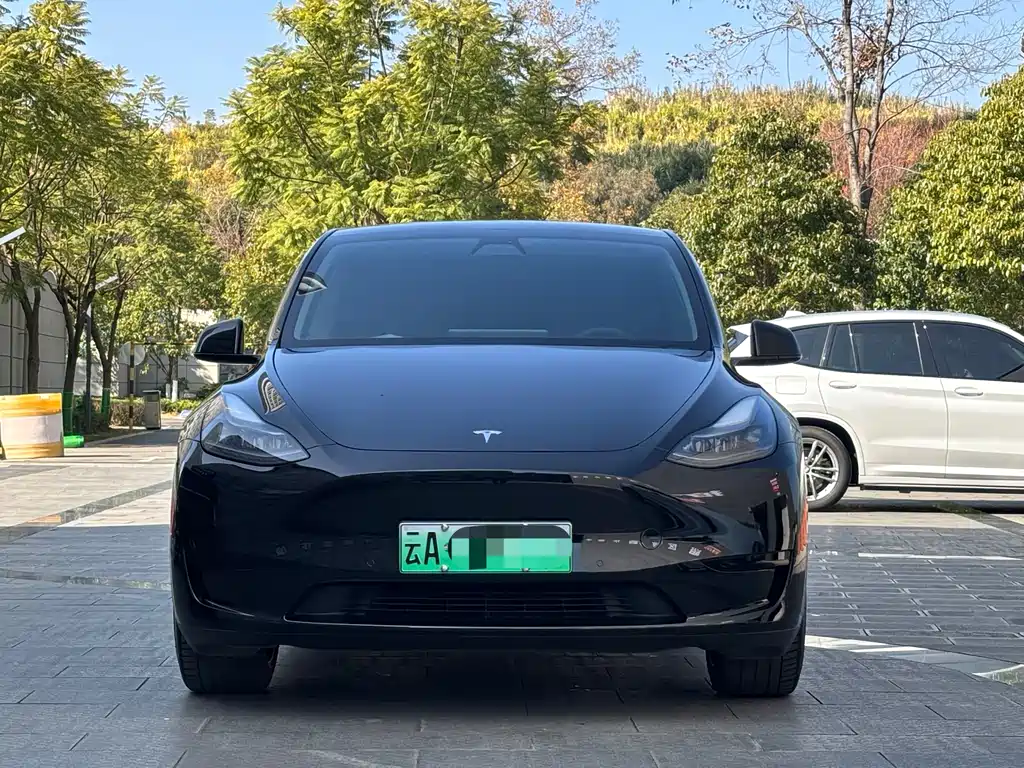 Tesla Model Y 2022 Rear-Wheel Drive Version 2023 - thumbnail 2