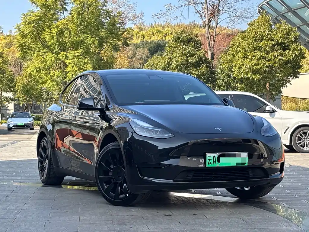 Tesla Model Y 2022 Rear-Wheel Drive Version 2023 - thumbnail 3