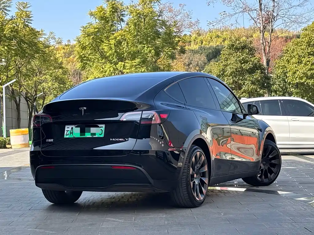 Tesla Model Y 2022 Rear-Wheel Drive Version 2023 - thumbnail 4