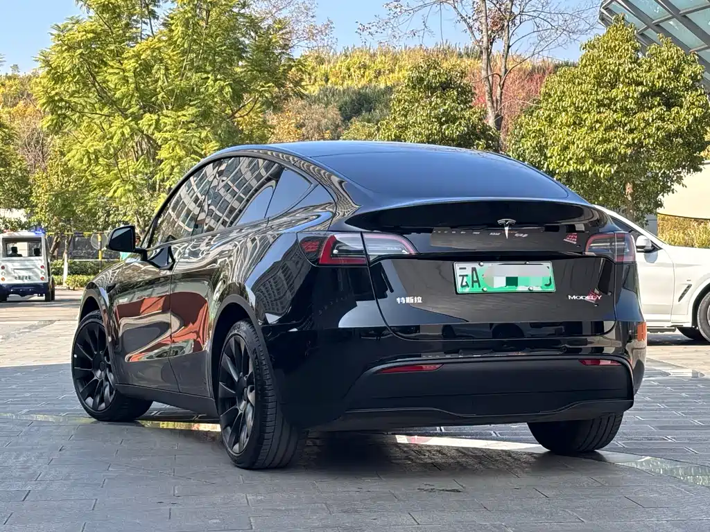 Tesla Model Y 2022 Rear-Wheel Drive Version 2023 - thumbnail 5