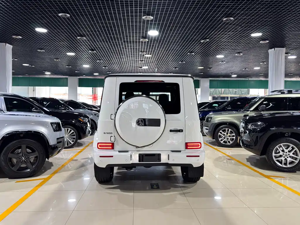 Mercedes-Benz Mercedes-Benz G-Class 2019 G 500 2019 - thumbnail 14
