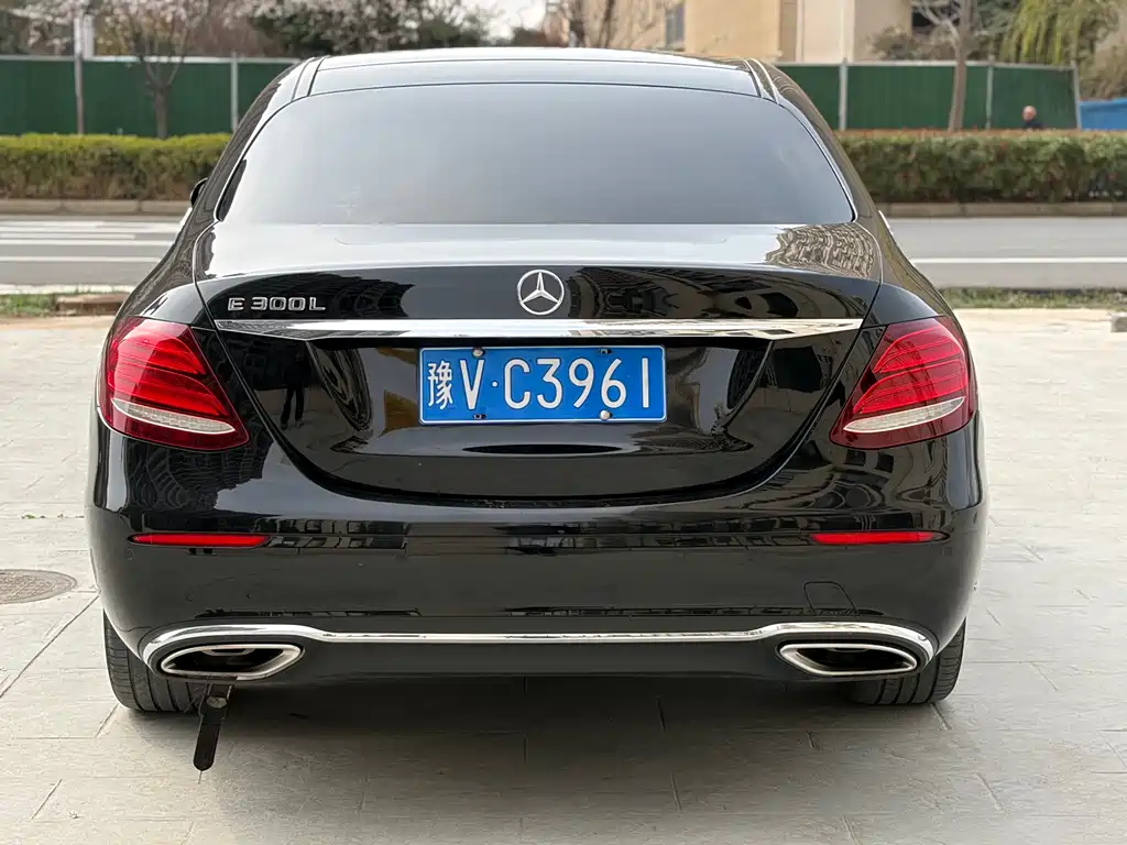 Mercedes-Benz Mercedes-Benz E-Class 2020 E 300 L Luxury Model 2020 - thumbnail 9