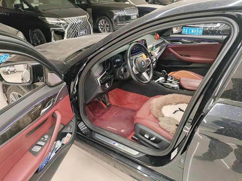 BMW BMW 5 Series 2019 530Li xDrive M Sport Package 2019 - thumbnail 5