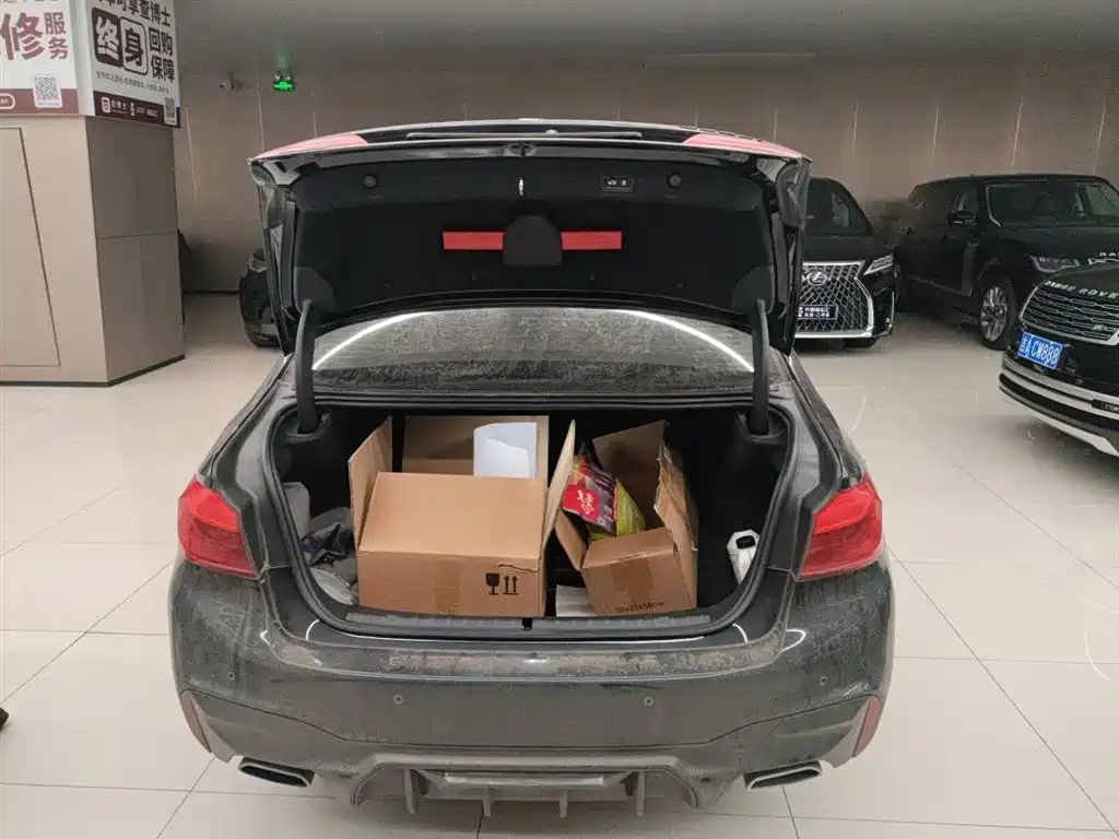BMW BMW 5 Series 2019 530Li xDrive M Sport Package 2019 - thumbnail 9