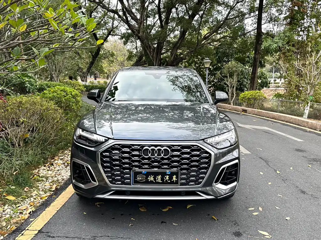 Audi Audi Q5L Sportback 2021 45 TFSI Luxury Edition 2021 - thumbnail 2