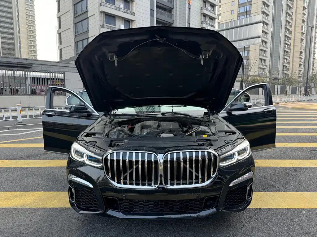 BMW BMW 7 Series 2011 740Li Steinway & Sons Limited Edition 2012 - thumbnail 15