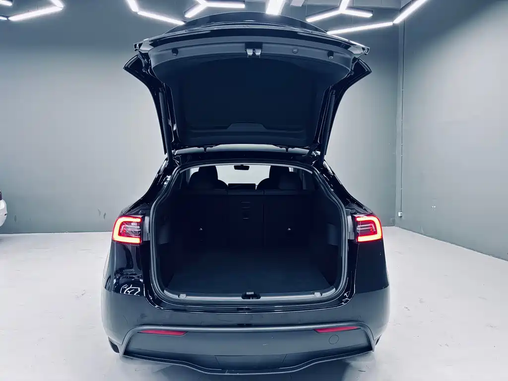 Tesla Model Y 2023 Rear-Wheel Drive 2024 - thumbnail 20