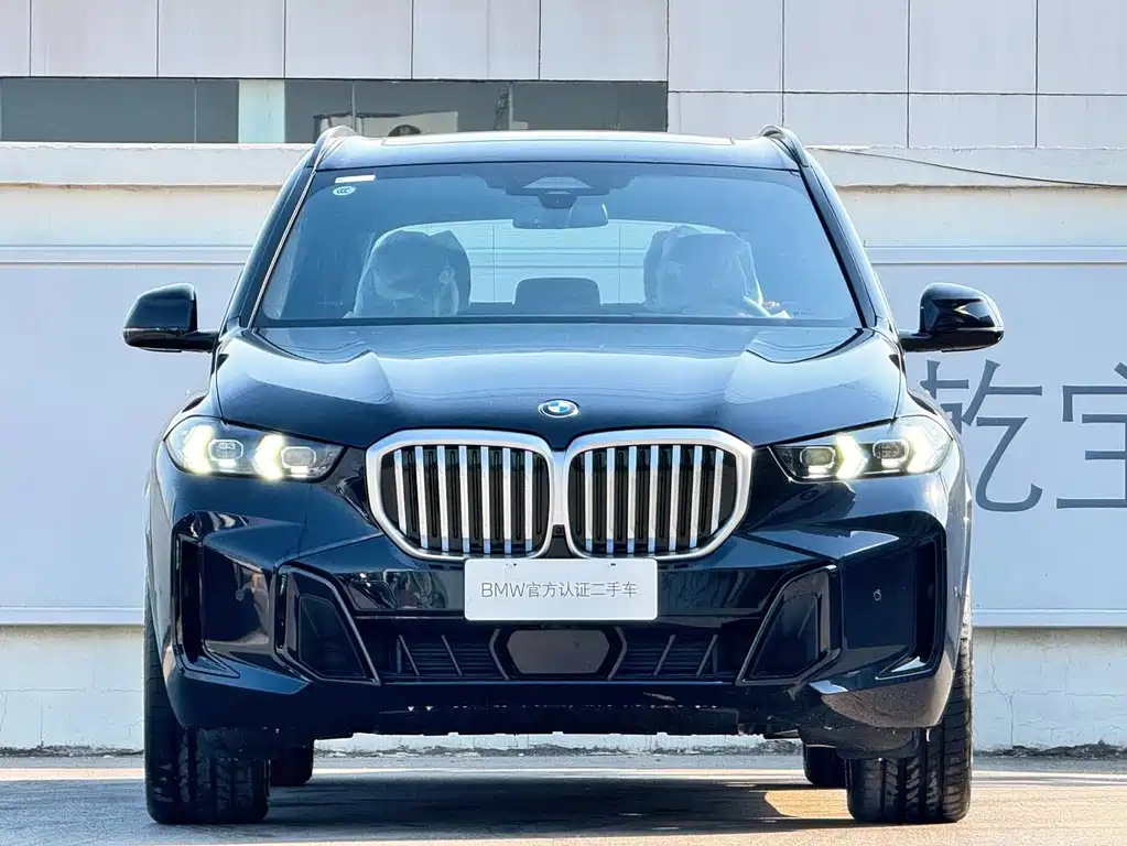 BMW BMW X5 2025 xDrive 40Li M Sport Shadow Night Package 2026 - thumbnail 2
